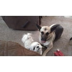 Image 2 of customer photos