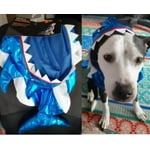 Image 7 of customer photos