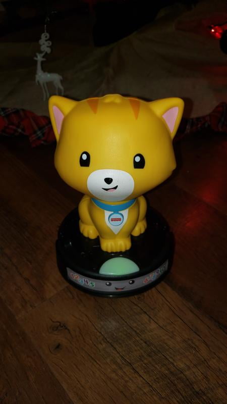 fisher price cat