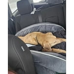 Image 6 of customer photos