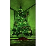 Image 6 of customer photos