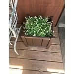 Image 9 of customer photos