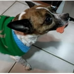 Image 4 of customer photos