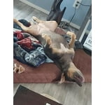 Image 2 of customer photos