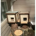 Image 4 of customer photos