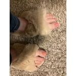 Image 7 of customer photos