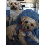 Image 3 of customer photos