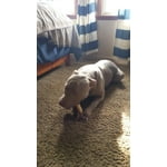 Image 6 of customer photos