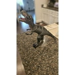 Image 7 of customer photos