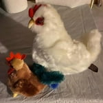 Image 2 of customer photos