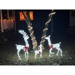 Image 2 of customer photos