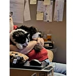 Image 3 of customer photos