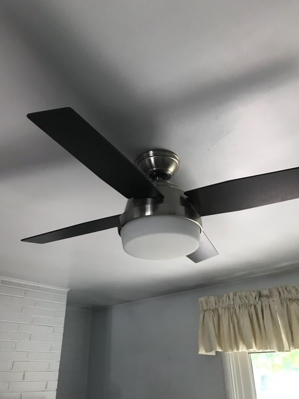 Hunter Dempsey Ceiling Fan Review Shelly Lighting