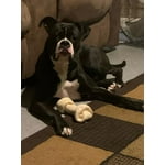 Image 2 of customer photos