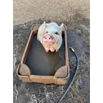 Image 1 of customer photos