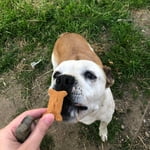 Image 6 of customer photos