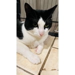 Image 6 of customer photos