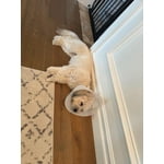 Image 2 of customer photos