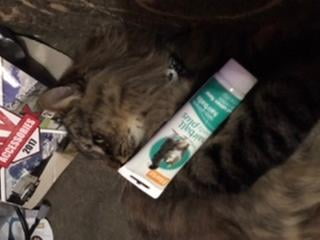 hairball medicine for cats walmart