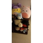 Image 2 of customer photos