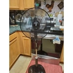 Image 1 of customer photos