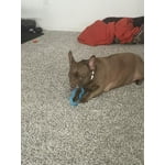 Image 2 of customer photos