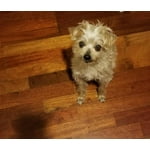 Image 5 of customer photos