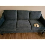 Image 6 of customer photos