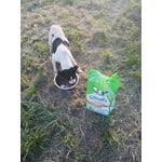 Image 4 of customer photos