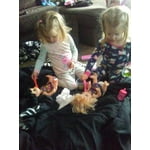 Image 6 of customer photos