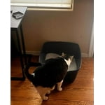 Image 3 of customer photos