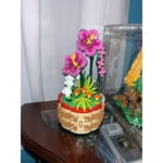 Image 4 of customer photos