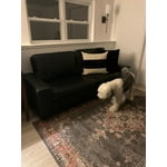 Image 6 of customer photos