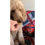 Image 7 of customer photos