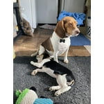 Image 1 of customer photos