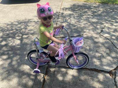 Schwinn 16