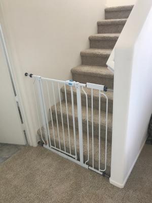 regalo 1167 extension