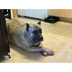 Image 5 of customer photos