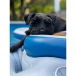 Image 6 of customer photos