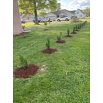Image 3 of customer photos