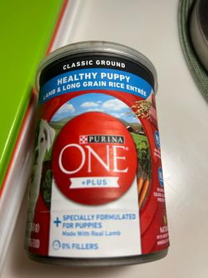 Long Grain Rice Purina One Classic Ground Dog Food Purina ONE