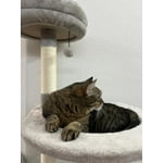 Image 6 of customer photos