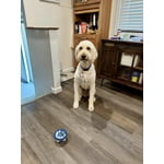 Image 4 of customer photos