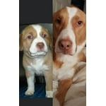 Image 5 of customer photos