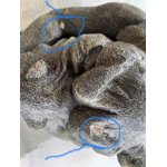 Image 5 of customer photos