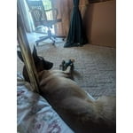 Image 4 of customer photos