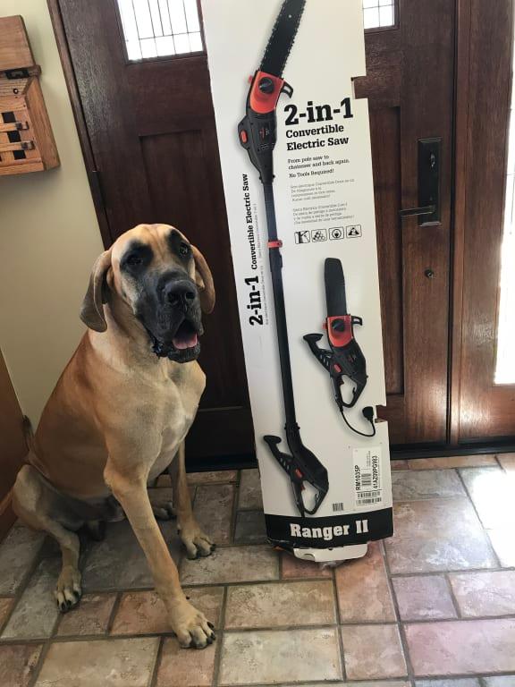 Remington RM1035P Ranger II 10-Inch 8 