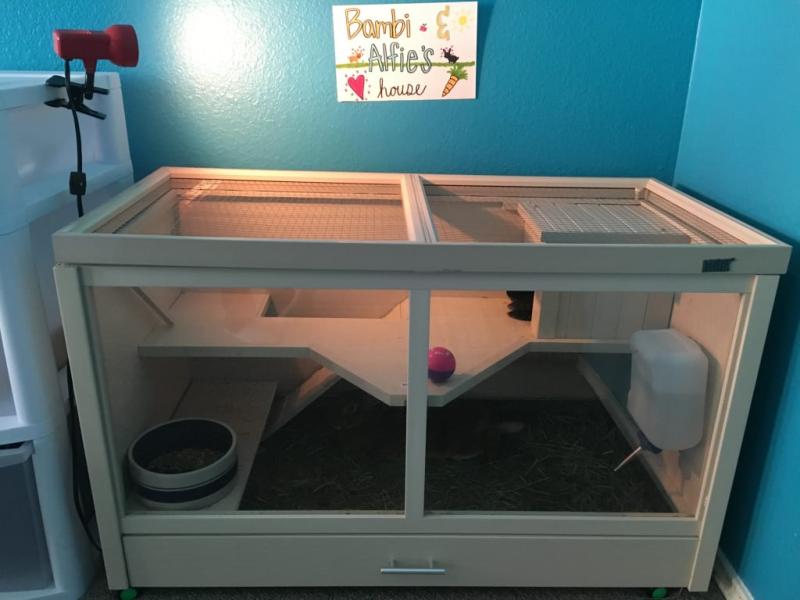 new age pet ecoflex park avenue indoor rabbit hutch