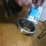 Image 5 of customer photos