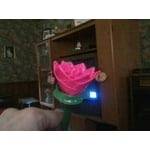 Image 2 of customer photos